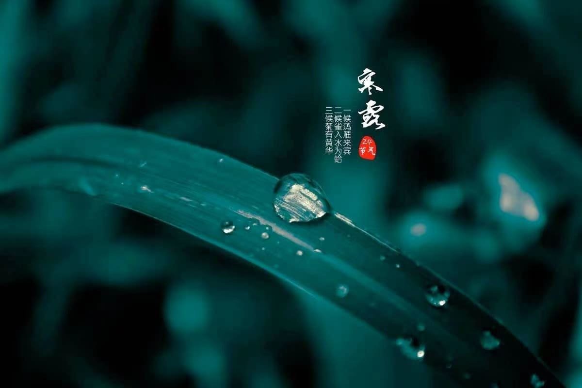 寒露