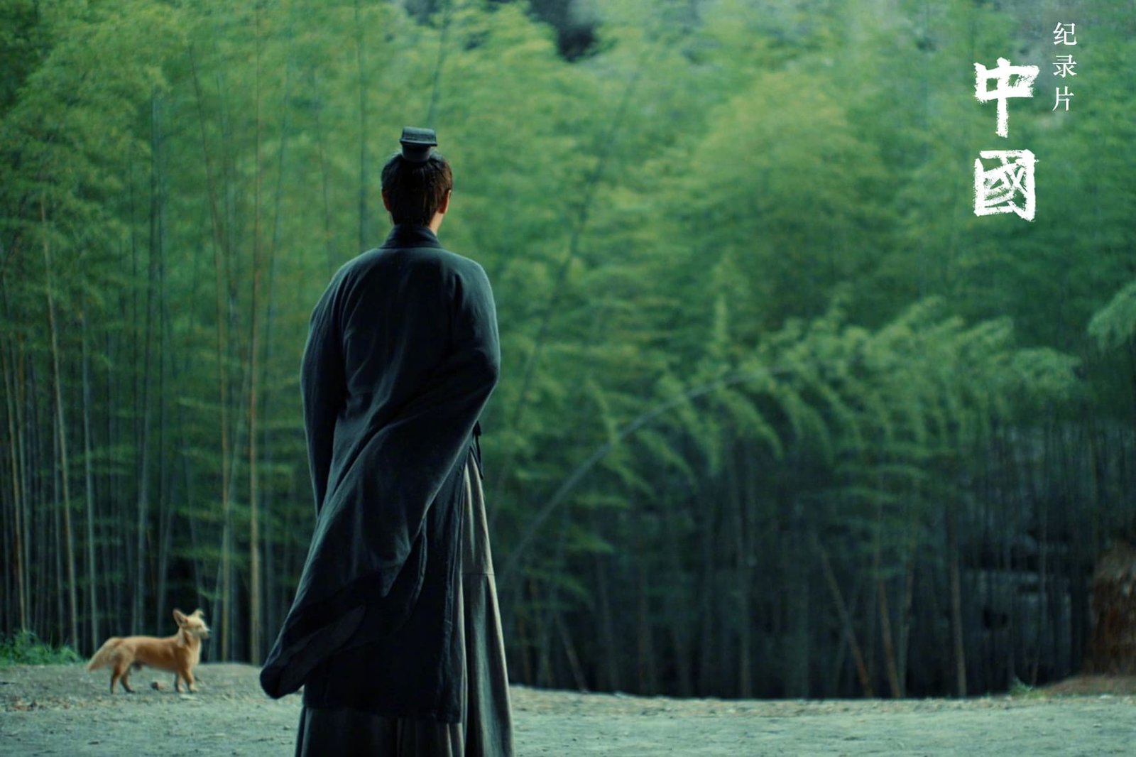 给孩子的纪录片