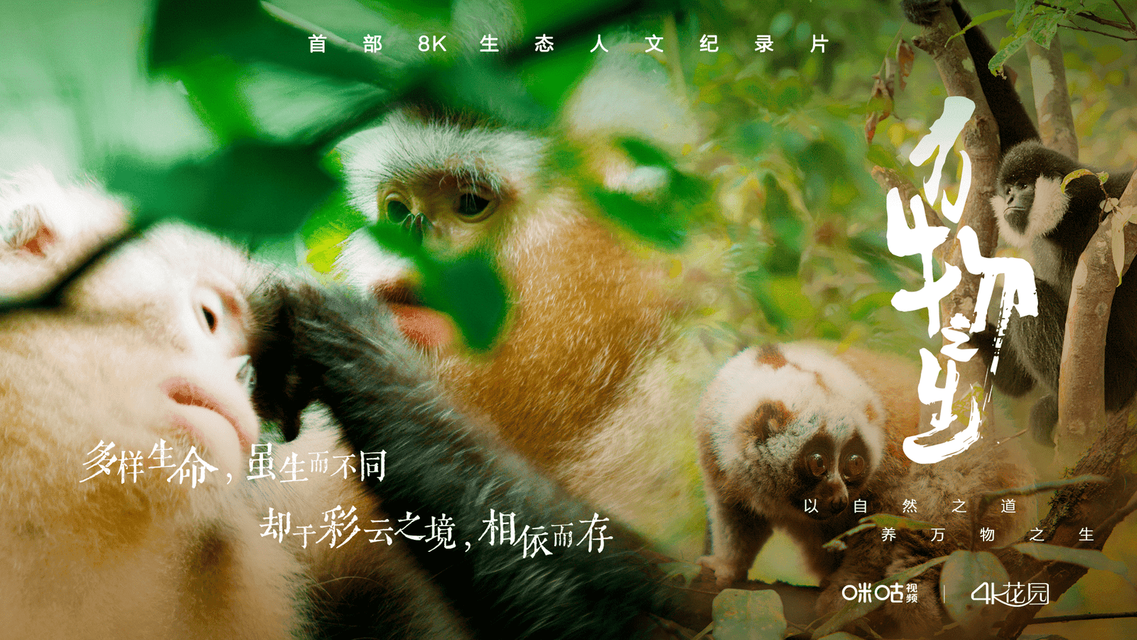 万物之主