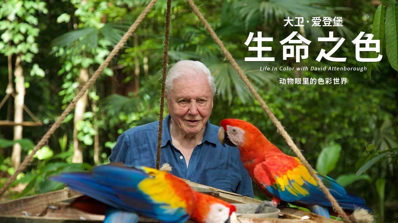 生命之色